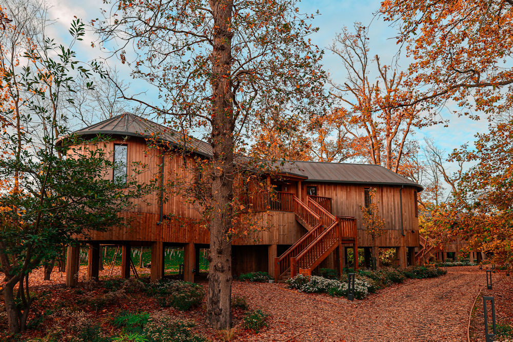 Treehouse Suite at Fairmont Windsor Park